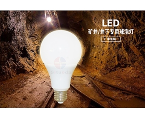 Factory direct mine/underground special bulb lamp