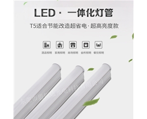 LED T5 integrated tube (0.9m 12W)